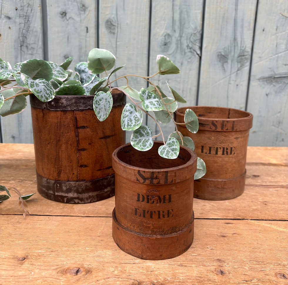 Set of French Salt Measures