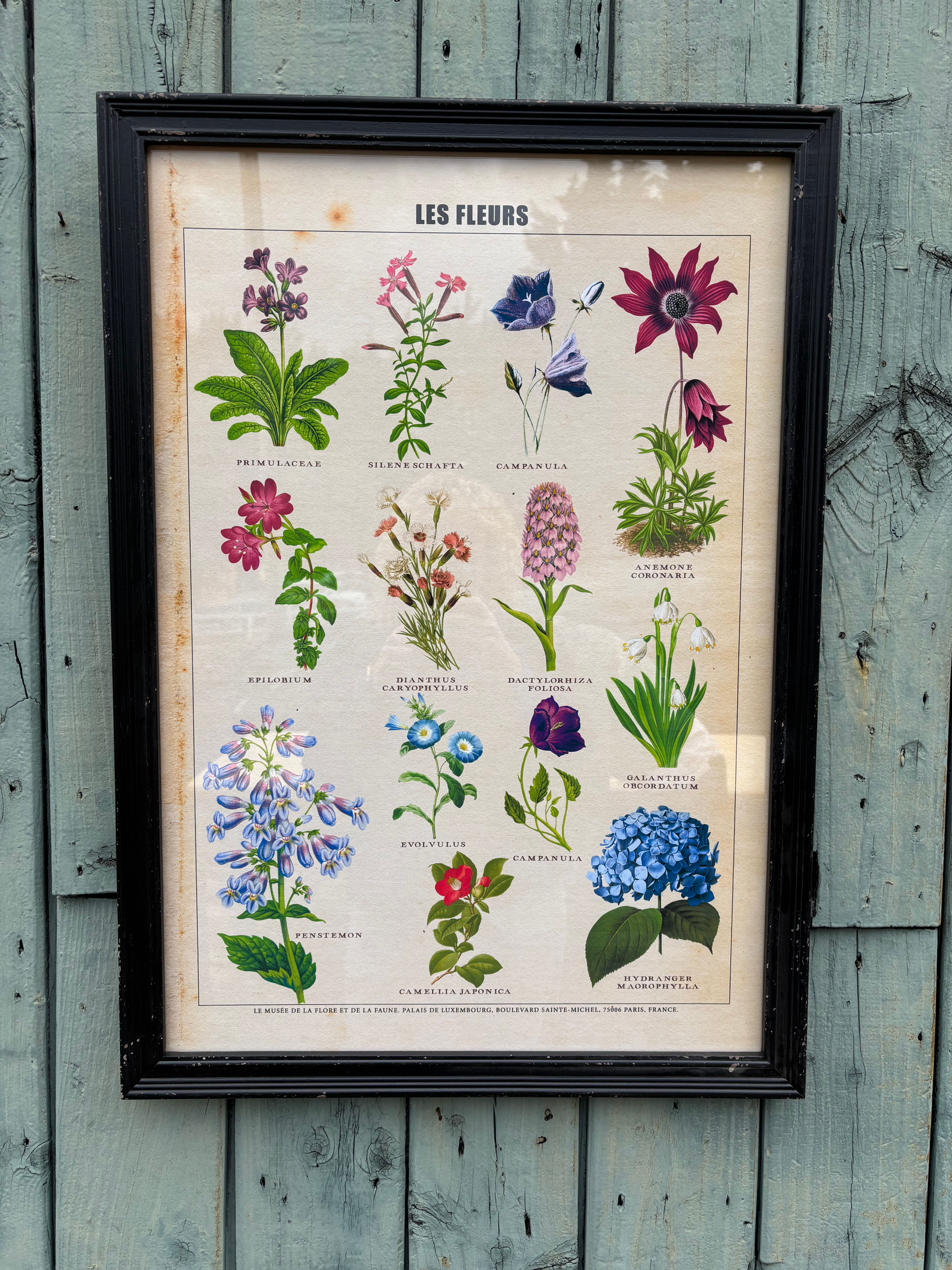 Vintage Style Framed Print ‘Les Fleurs’