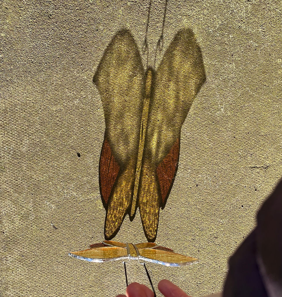 Thumbnail: Stained Glass Butterfly Workshop (Saturday 7th June 11am - 4pm)