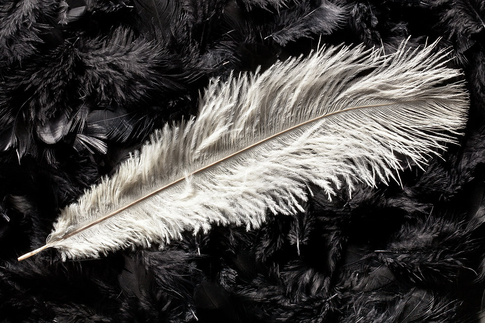 AdobeStock_39575070.jpeg