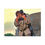Thumbnail: Princess Bride Advantage Canvas