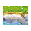 Thumbnail: Pebble Beach Canvas