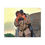Thumbnail: Princess Bride Advantage Canvas