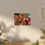 Thumbnail: Lebowski The Jesus Canvas