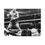 Thumbnail: Tyson Knockout Canvas