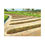 Thumbnail: The Church Pews – Oakmont Country Club Canvas