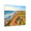 Thumbnail: Wild Coast – Pacific Dunes Canvas