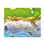 Thumbnail: Pebble Beach Canvas