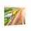 Thumbnail: Coastal Command – Kiawah Island Ocean Course Canvas