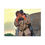 Thumbnail: Princess Bride Advantage Canvas