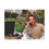 Thumbnail: Sosa Scarface Canvas