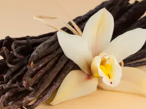 Vanilla