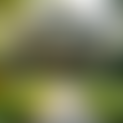 How Family First Property Group Simplifies Renting