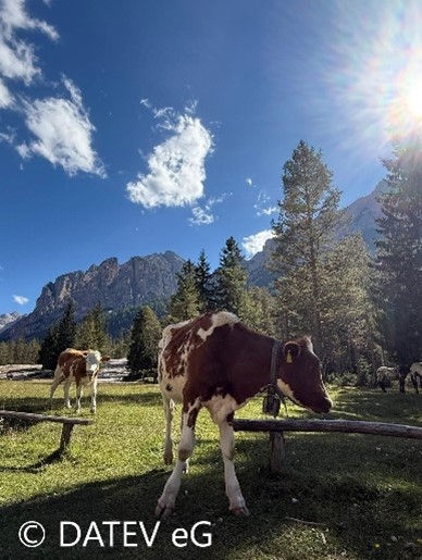 MONATSINFORMATION JANUAR 2026