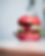 DSC04110.jpg