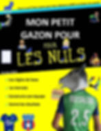 Visuel MPG pour les nuls