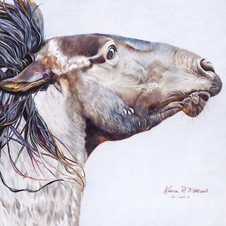 Crazy horse