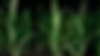 0387a2208094567.66e937c1a6f28.png