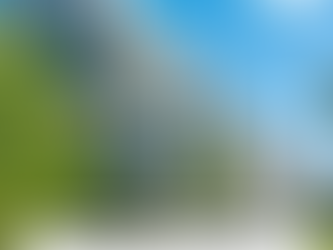 Does Apartment Building Insurance Cover Dog Bites? | E360insurance