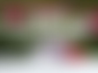 დაახლოებით 18 მილიონ ზრდასრულ ადამიანს აქვს გრძელი კოვიდი...