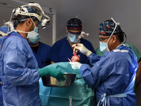 მსოფლიოში მეორედ, ადამიანს ღორის გული გადაუნერგეს