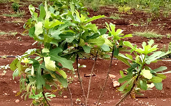 WhatsApp Image 2024-08-30 at 13.23_edite