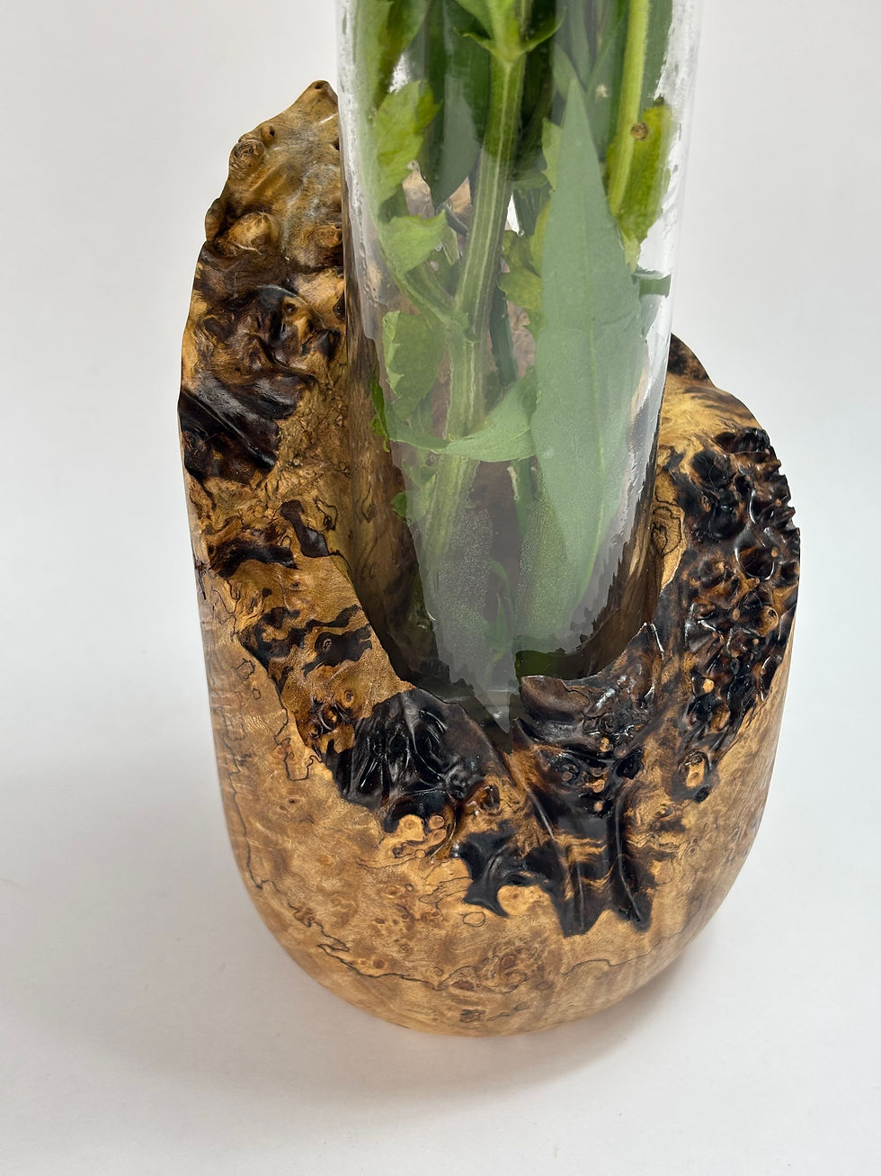 Thumbnail: Maple Burl Flower Vase