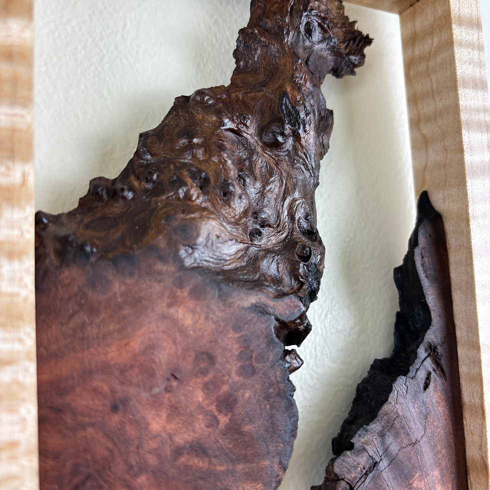 Thumbnail: Redwood Burl and Curly Maple Wall Art