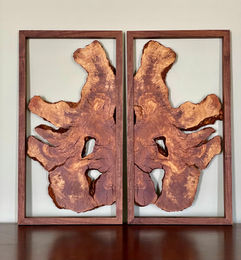 Framed Burl Wall Art