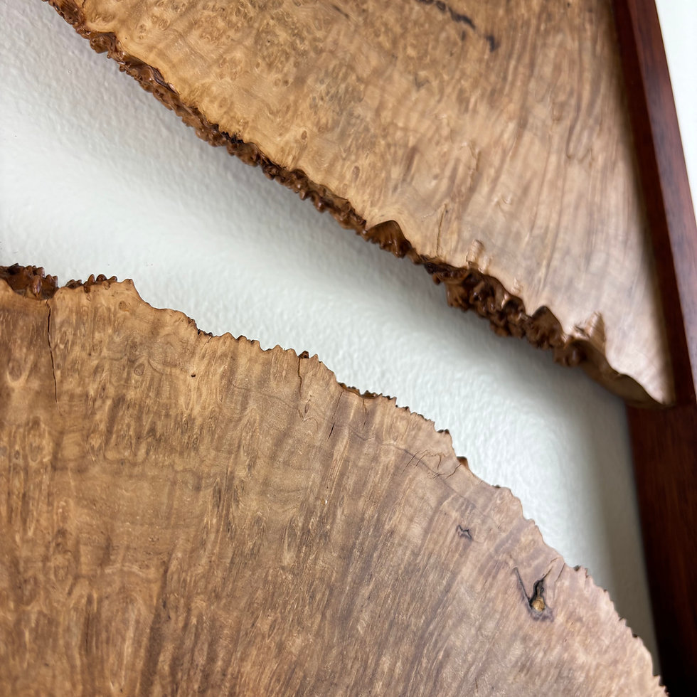 Thumbnail: Chechen Burl and Bloodwood Wall Art