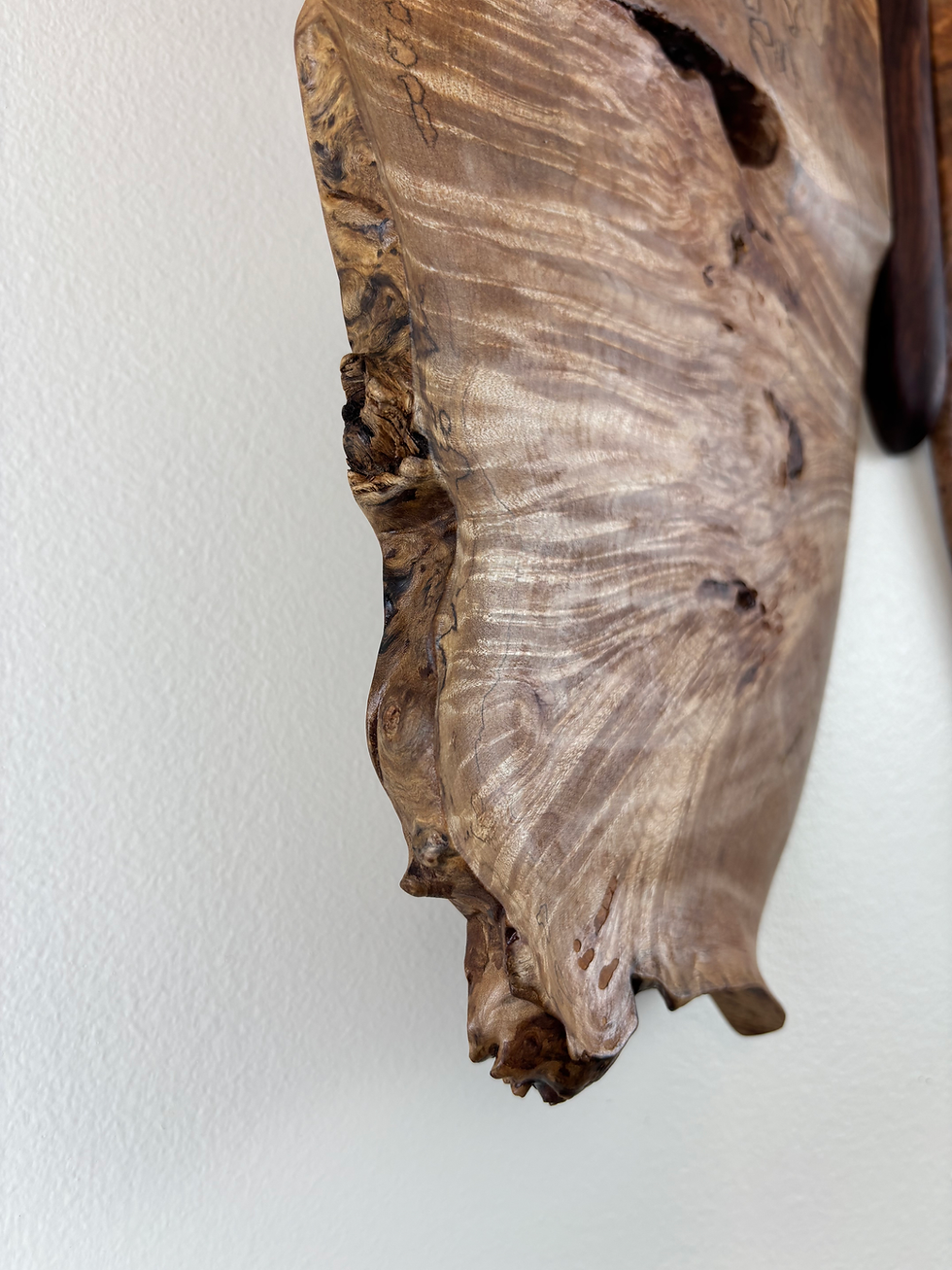 Thumbnail: Maple Burl and Indian Rosewood Butterfly