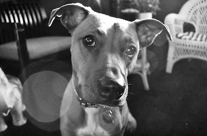 Penny.Sunroom.Photoshoot_EditedB&W_001.p