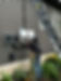 485147007_594411803561252_5405984474595263746_n.jpg