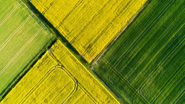 Signature d’un contrat de vente entre une commune et un acheteur avec des plans cadastraux, illustrant une vente d’un bien du domaine privé créatrice de droits.