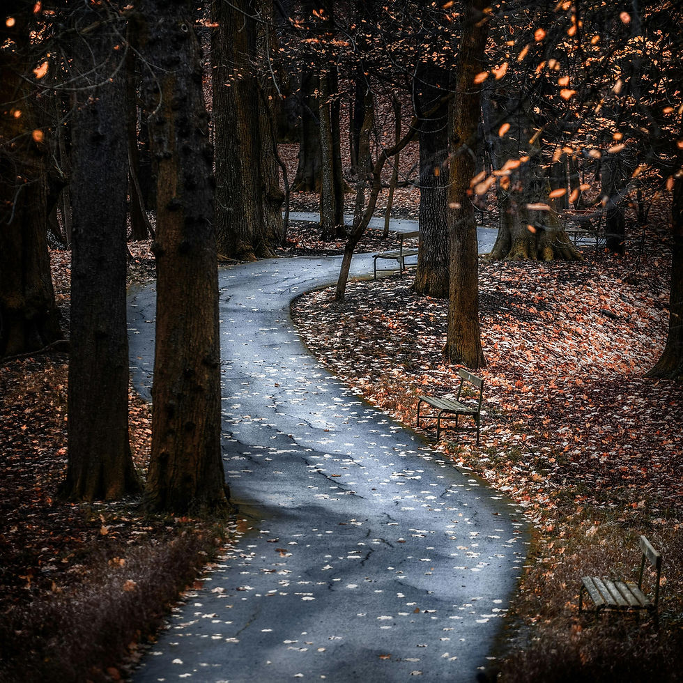 Photographie d’un chemin rural concerné par une réglementation spécifique en matière de travaux