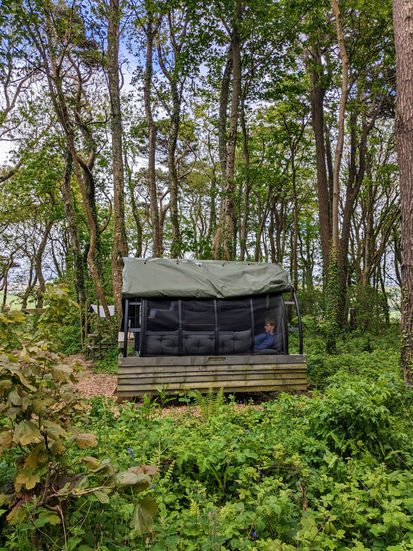 Landpod in a woodland in st ives cornwall 