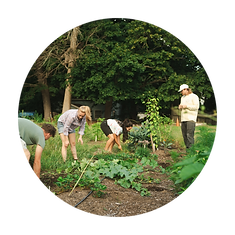 Staff Headshots (27).png