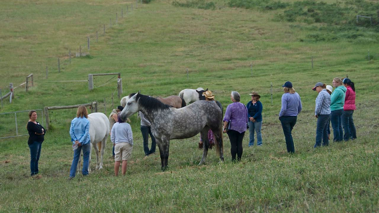 Group involvement