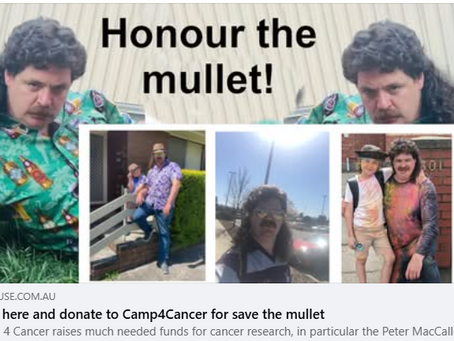 Honour the mullet!