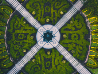 Finding Inspiration in Parterre