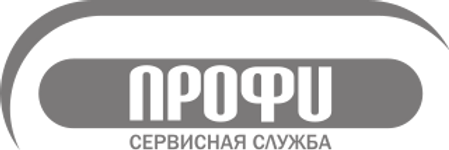 ПРОФИ ЛОГО НОВОЕ.png