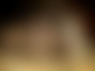 Top Winter Pests and How to Prevent Them This November