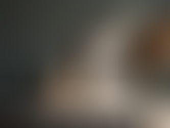 高齢者向けペット葬儀サービスの特長