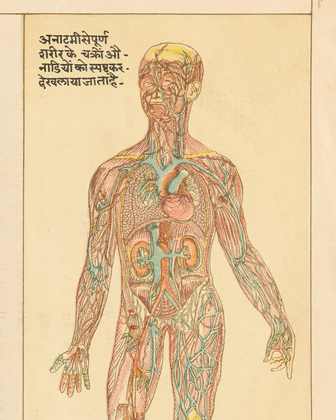 Yoga et ayurveda Grenoble_edited_edited_edited.jpg