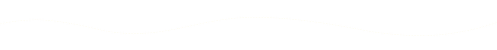 Linie-weiß.png
