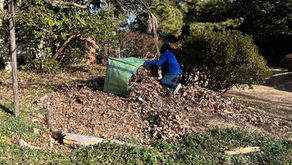 1月18日ボランティア清掃活動