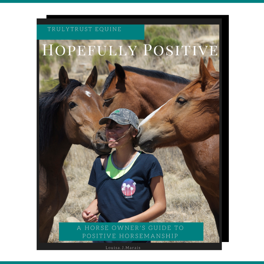 Hopefully Positive - A horse owner's guide to positive horsemanship
