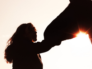 How can we build a strong bond with our horses by utilising the pillars of trust?
