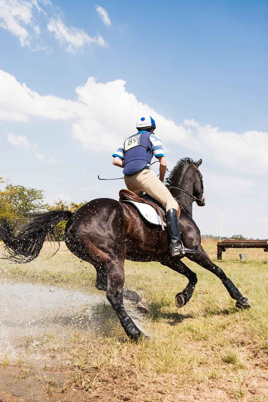person horseback riding