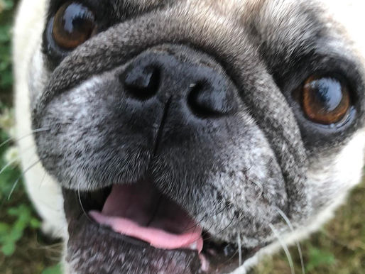 Hello